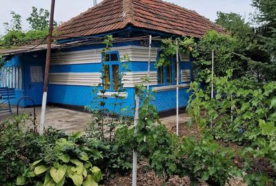 Casă cu 2 camere cu Teren 900 Mp în Cozia