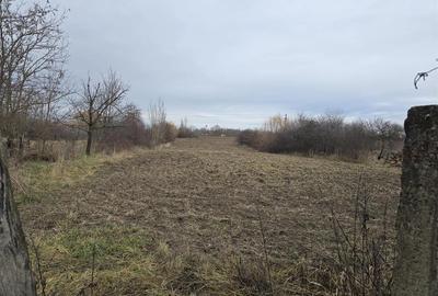 Casă individuală cu 3 camere cu Teren 7900 Mp în Boiu - 13