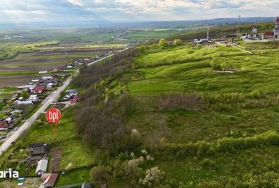 Teren de 10000 mp, în Forăști - 3