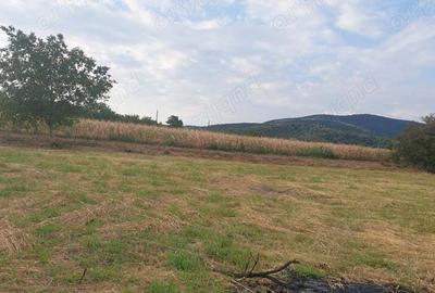 Teren de 2200 mp, în Mâsca - 3