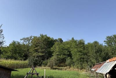 Casă cu 4 camere în Valea Siliștii