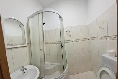 Apartament cu 2 camere decomandat, mobilat în Gării - 8