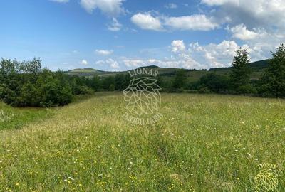 Teren agricol extravilan de 6500 mp, în Cușma - 4