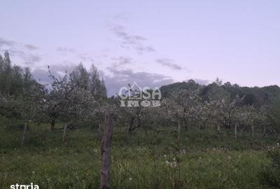 Teren de 1131 mp, în Mănești - 2
