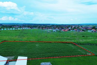 Teren Construcții intravilan de 8000 mp, în Sălard - 1