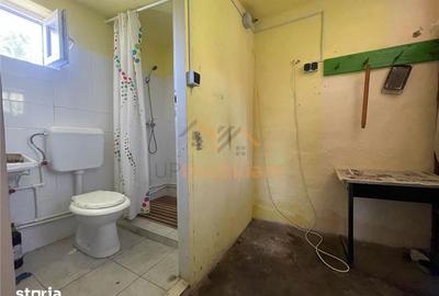 Casă cu 5 camere cu Teren 6770 Mp în Măgești - 11