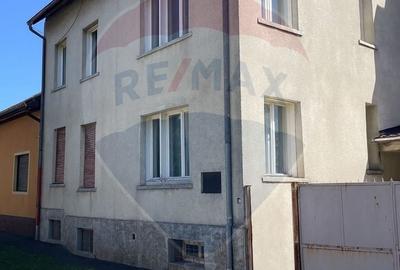 Casă individuală cu 15 camere cu Canalizare în Elisabetin - 1