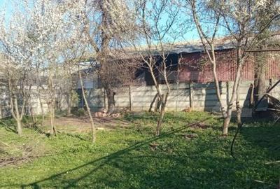 Casă cu 4 camere cu Teren 942 Mp în Mureșeni - 14