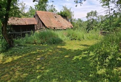 Casă cu 3 camere în Delenii - 2