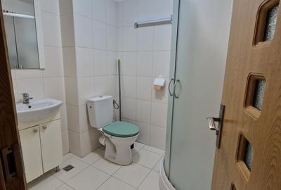 Apartament cu 2 camere semidecomandat, mobilat în Eroii Revoluției - 10
