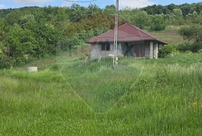 Casă cu Teren 4234 Mp în Deag - 3