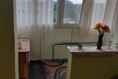 Garsonieră în Almaș - 4