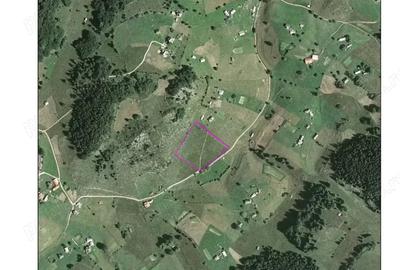 Teren de 9515 mp, în Fundata - 1