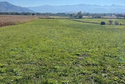 Teren de 7500 mp, în Central - 3