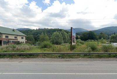 Teren Construcții intravilan de 2868 mp, în Bușteni - 2