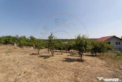 Casă cu 4 camere cu Teren 1252 Mp în Central