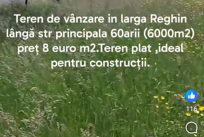 Teren de 6000 mp, în Glăjărie