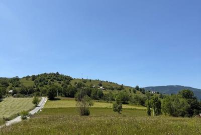 Spațiu comercial, în Rogojel - 5