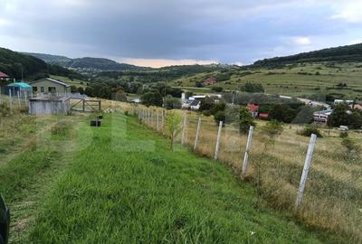 Teren agricol extravilan de 1000 mp, în Exterior Sud
