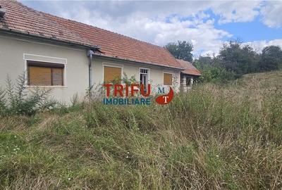 Casă cu 4 camere în Drâmbar - 3