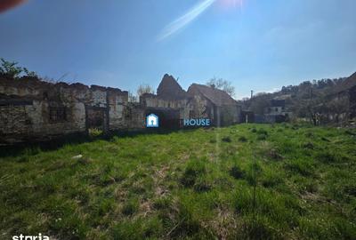 Teren de 3890 mp, în Șoarș - 7