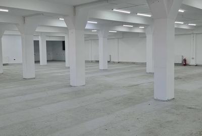Spațiu comercial, de 600 mp, în Bascov - 6