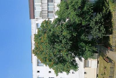Apartament cu 2 camere decomandat în Precista - 1