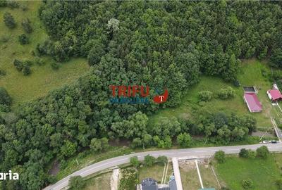 Teren de 4574 mp, în Poiana Galdei