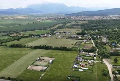 Teren de 1000 mp, în Vulcan - 1