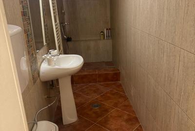 Casă individuală cu 4 camere cu Canalizare în Domenii - 10