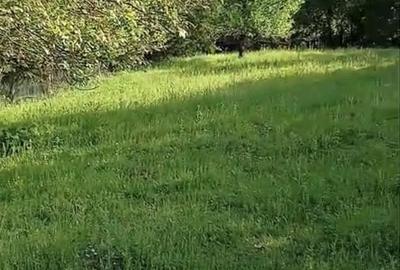 Casă cu 4 camere în Valea Rumâneștilor - 1
