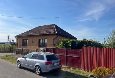 Casă individuală cu 3 camere cu Teren 5000 Mp în Daneș