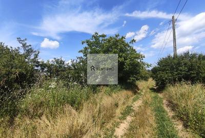 Teren agricol extravilan de 11000 mp, în Neajlovu - 11