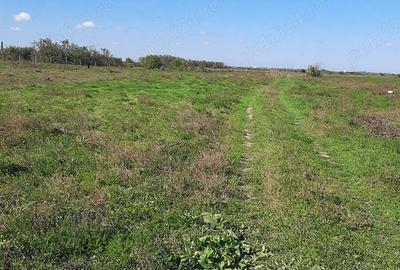 Teren în Vădeni - 1