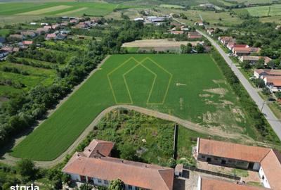 Teren de 16716 mp, în Traian Vuia - 8
