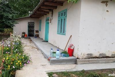 Casă cu 3 camere cu Teren 9228 Mp în Sălceni