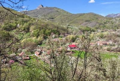 Casă cu 3 camere în Poiana Galdei - 6