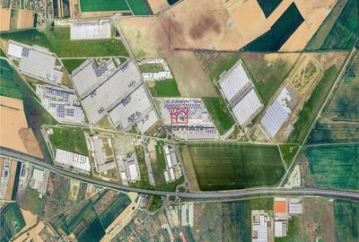 Spațiu comercial, de 25,000 mp, în Bolintin-Deal - 4