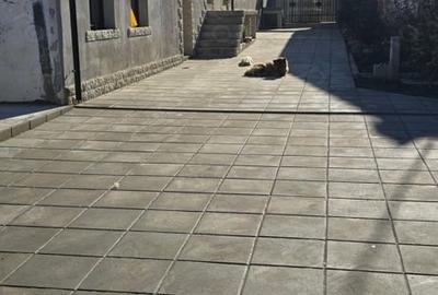 Casă cu 4 camere cu Teren 3171 Mp în Bod