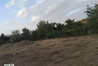 Casă cu 4 camere cu Teren 1000 Mp în Central