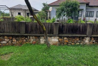 Casă cu Teren 8030 Mp în Pârâu