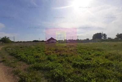 Teren de 1430 mp, în 1 Decembrie