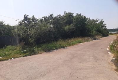 Teren Construcții intravilan de 5500 mp, în Ilfoveni - 10