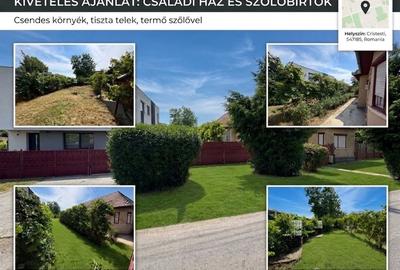 Casă cu 3 camere în Criș - 2