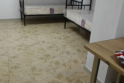 Apartament cu 2 camere în Central - 2