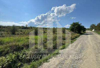 Teren Construcții intravilan de 4662 mp, în Cetate - 1