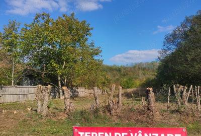 Teren de 7000 mp, în Drăgoești - 8