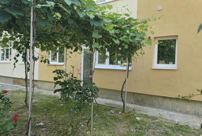 Apartament cu 2 camere semidecomandat în Turceni - 4