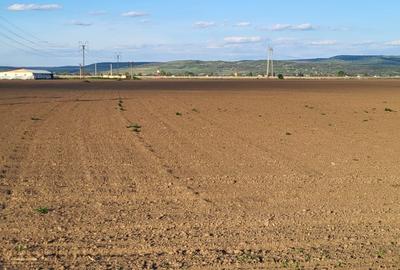 Teren de 5760 mp, în Letea Veche - 3