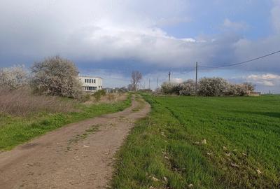Teren de 300 mp, în Central